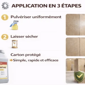 Mode d’emploi Ignicarton en 3 étapes illustrées, avec le bidon Ignicarton
